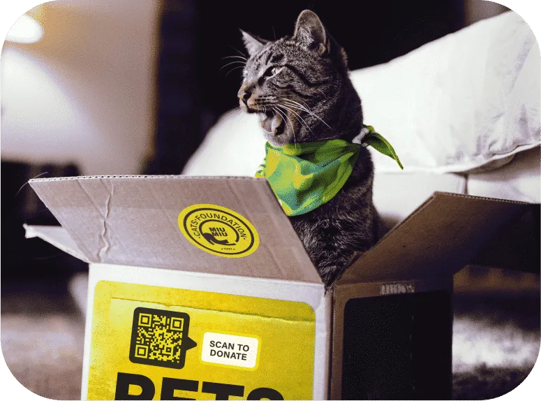 Echa un vistazo a algunas formas creativas de usar códigos QR para organizaciones sin ánimo de lucro.